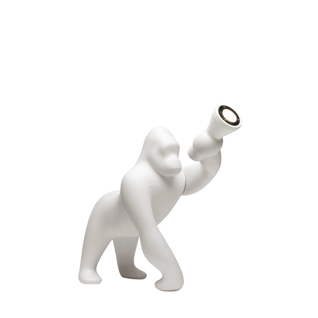 Kong XS
