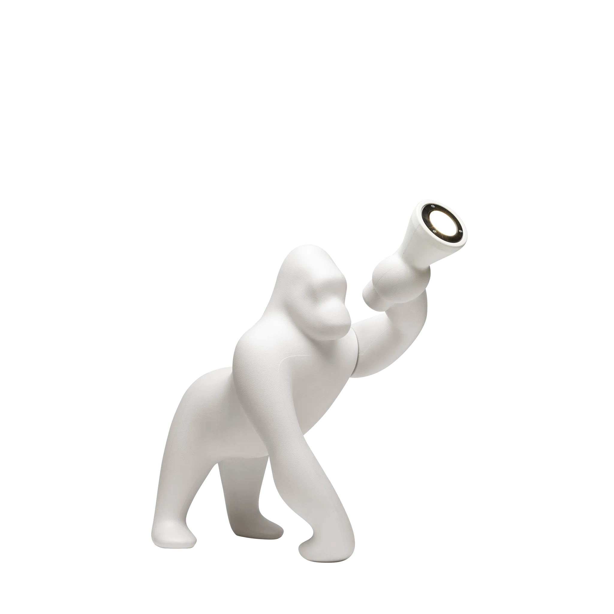 Kong XS