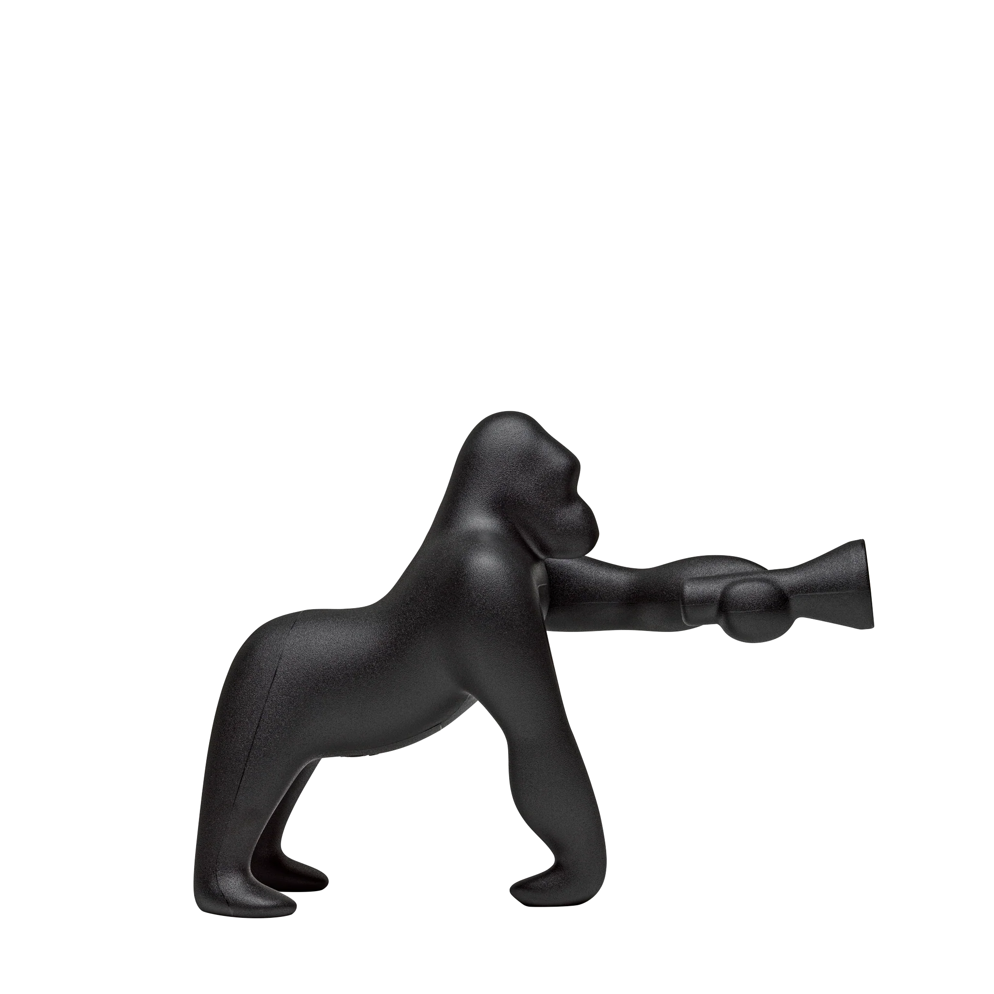 Kong XS