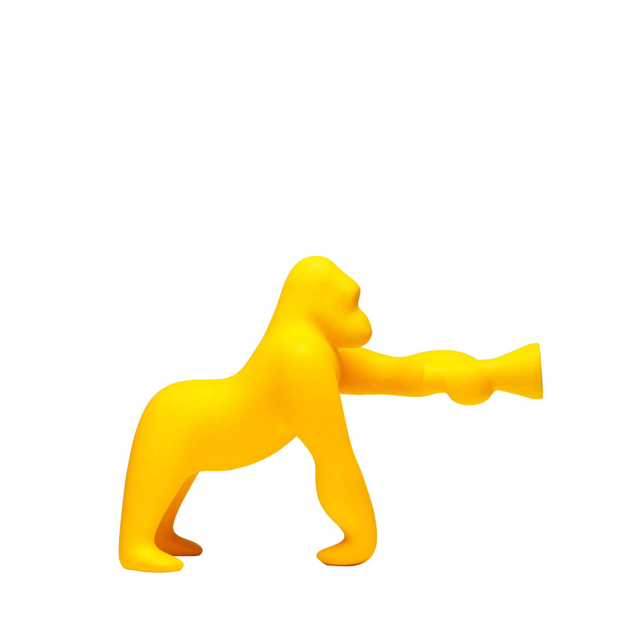 Kong XS