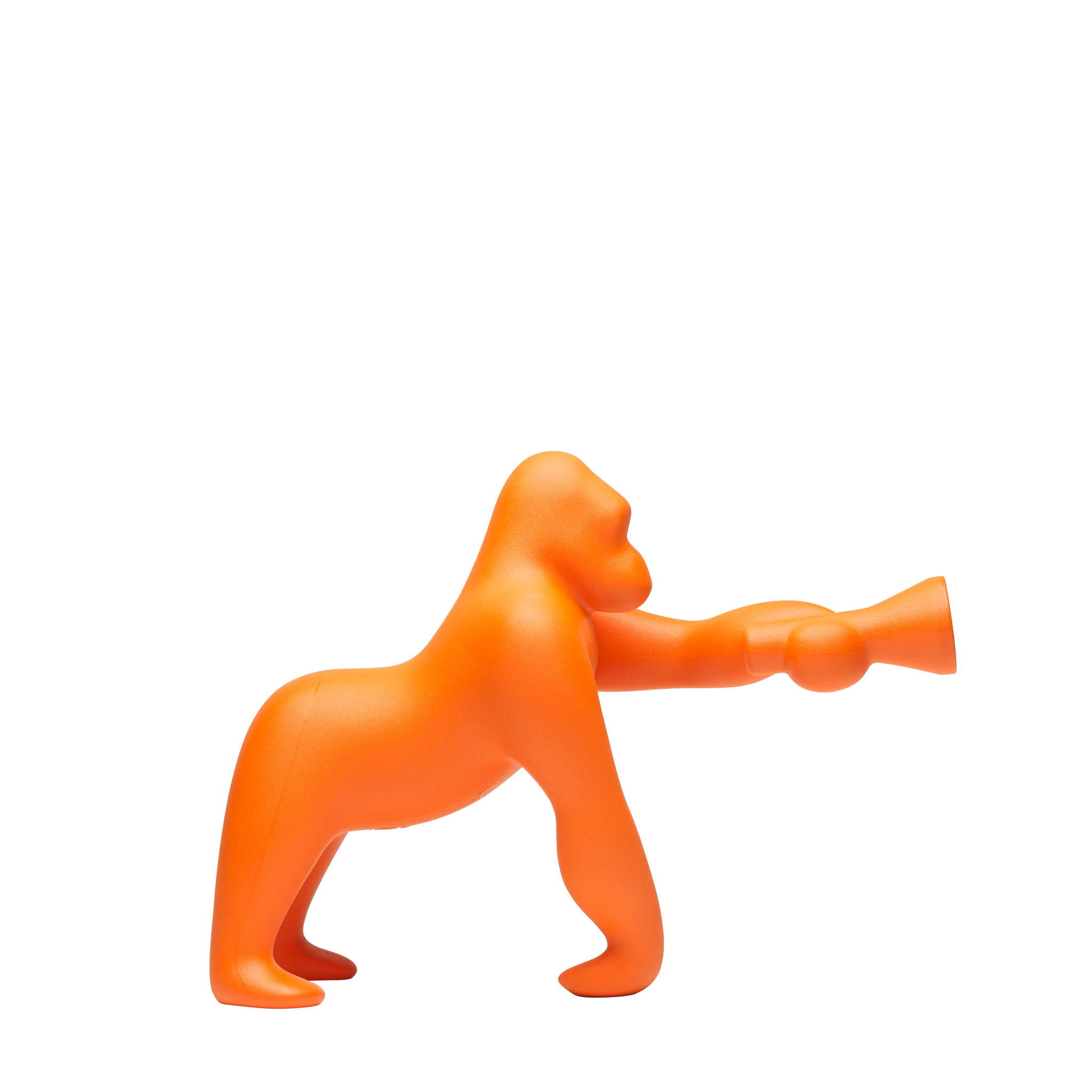 Kong XS
