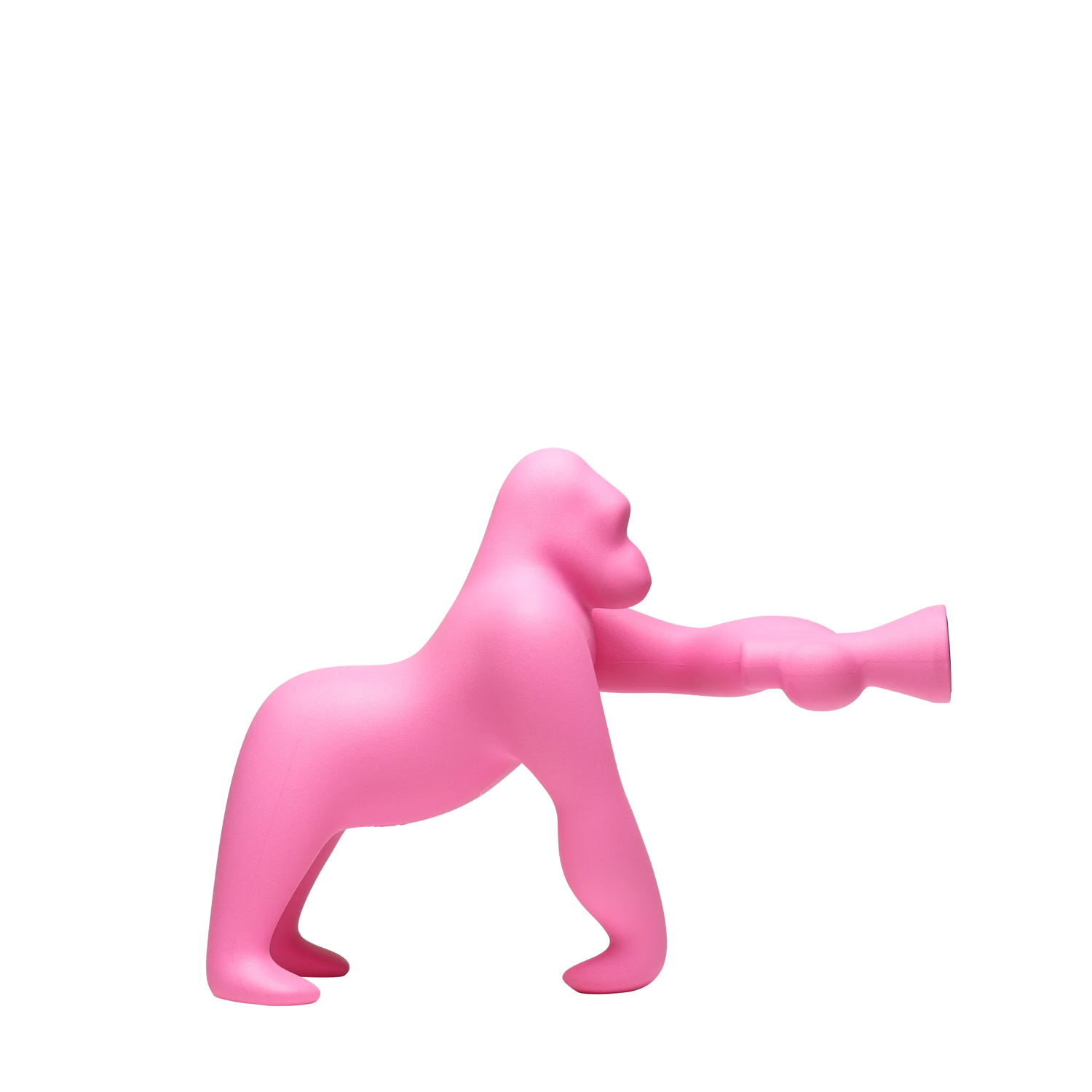 Kong XS