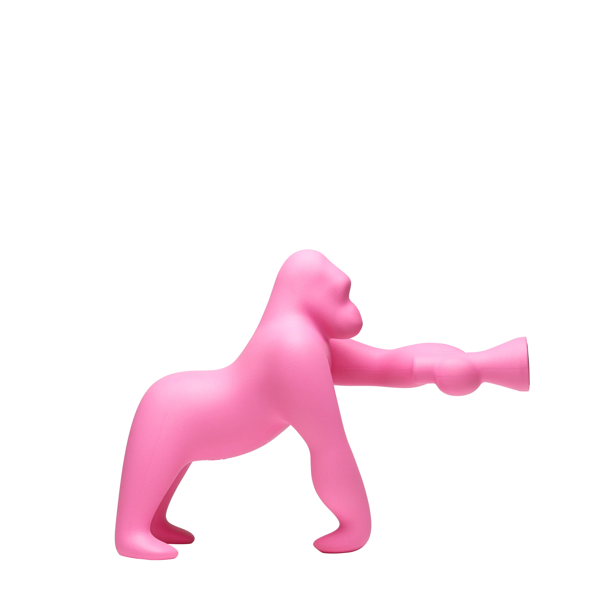 Kong XS