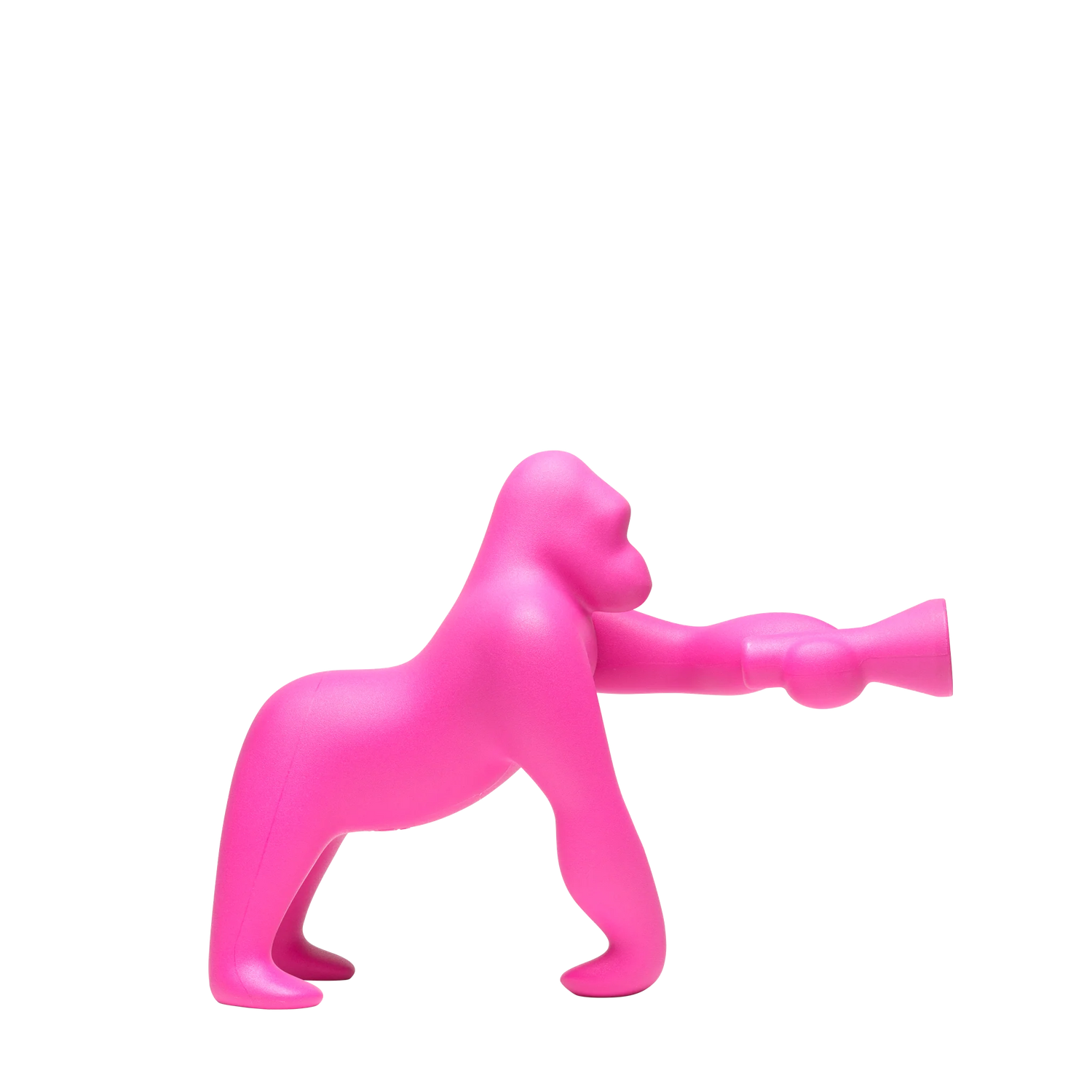 Kong XS