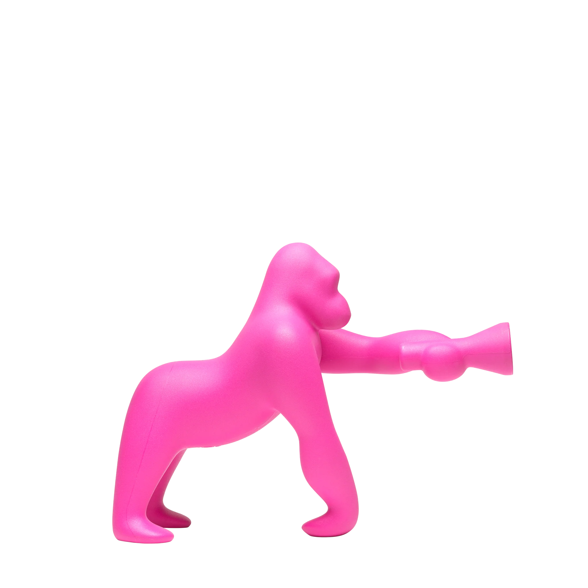 Kong XS