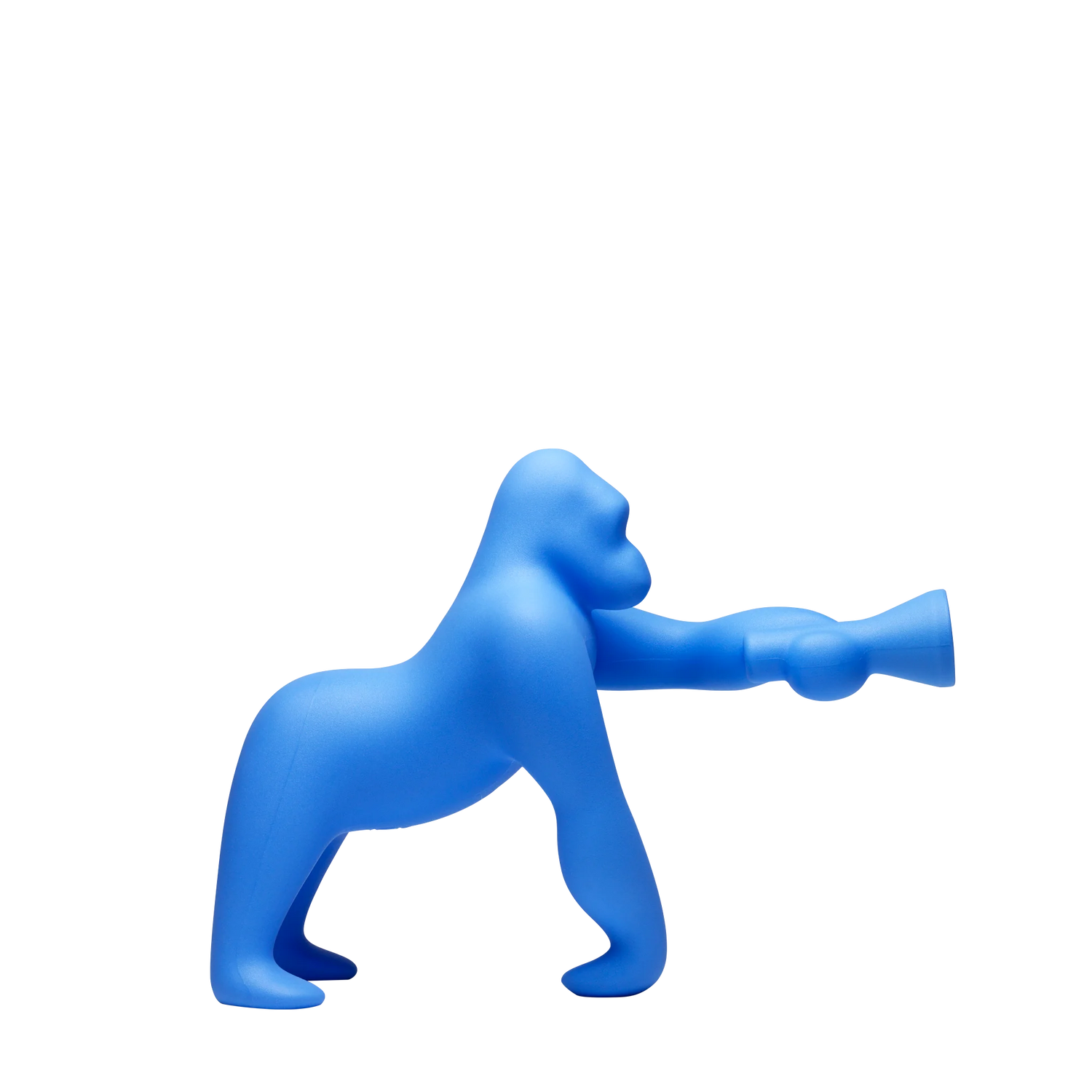 Kong XS