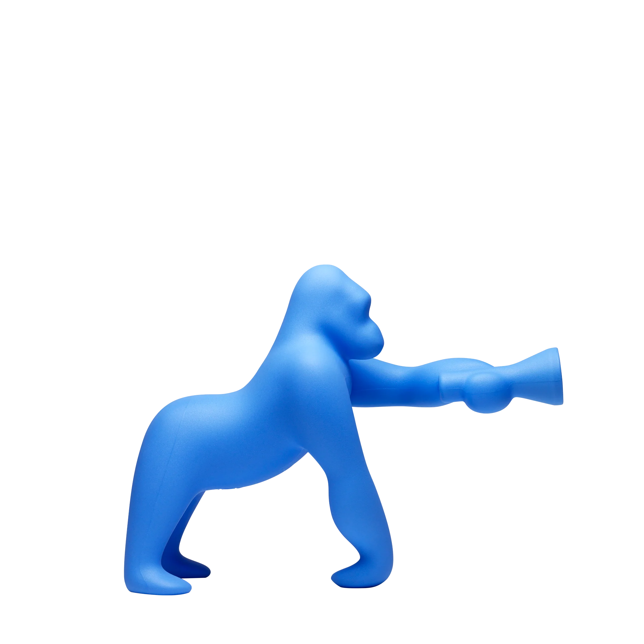 Kong XS