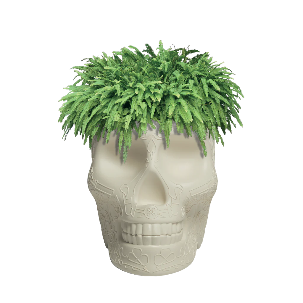 Mexico Planter and Champagne Cooler