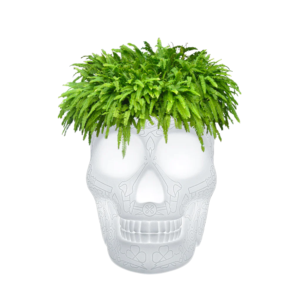 Lampada per fioriera e champagne Mexico con LED ricaricabile