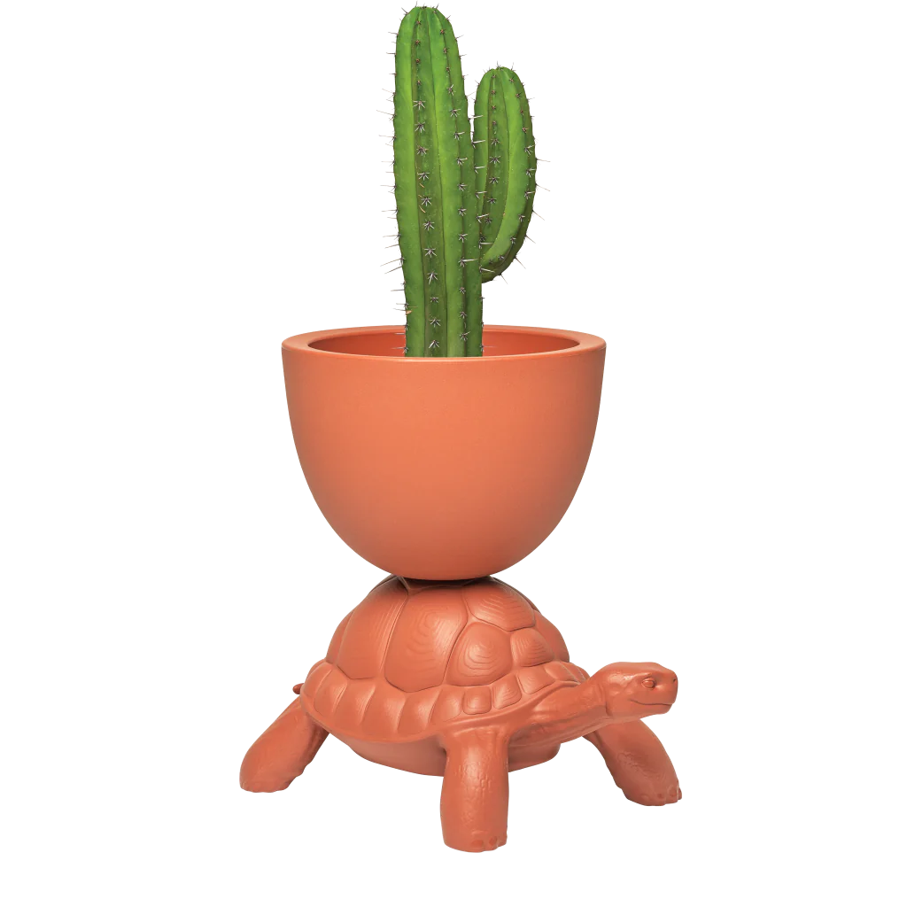 Turtle Carry Planter and Champagne Cooler