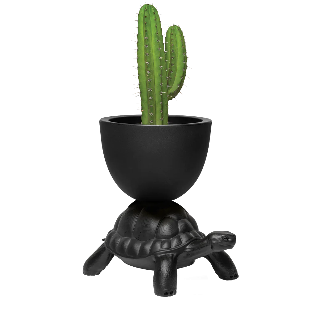 Turtle Carry Planter and Champagne Cooler