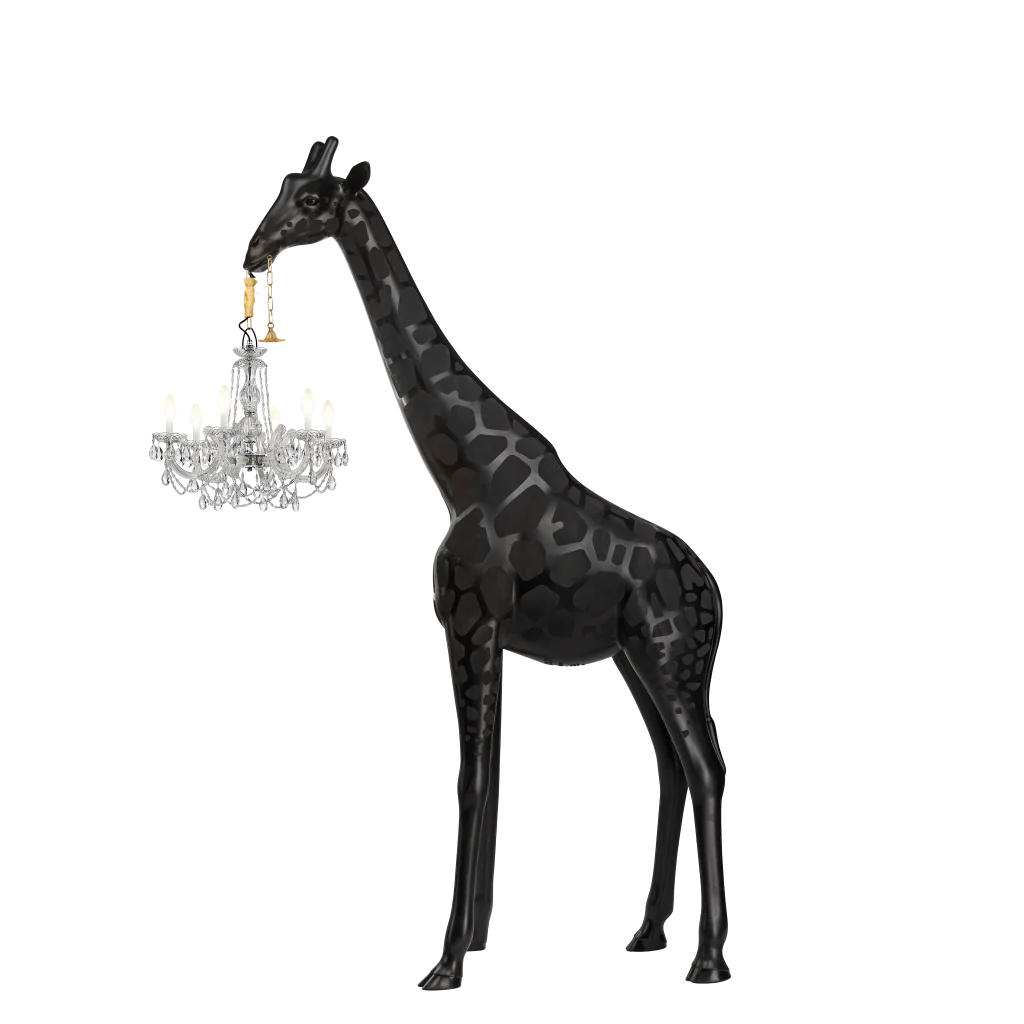 Giraffa innamorata M all&
