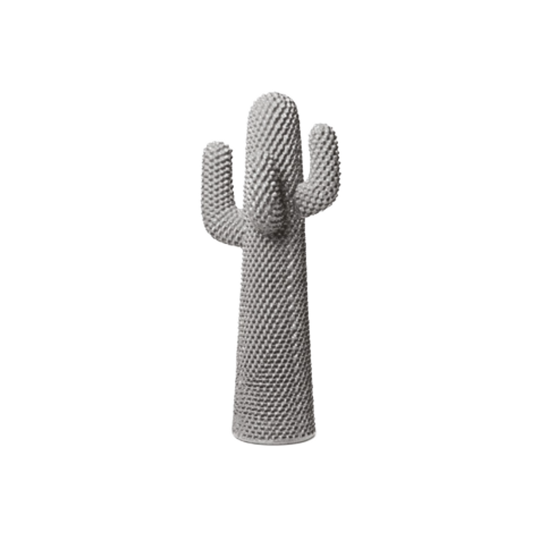 Boring Cactus
