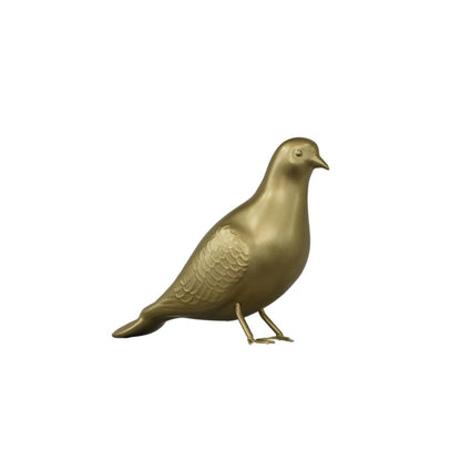 Pigeon - Noncaga
