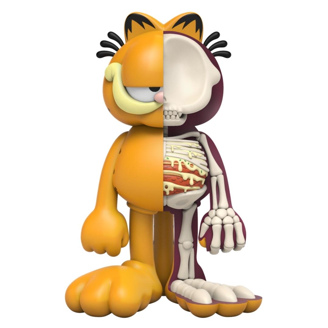 XXRAY PLUS GARFIELD