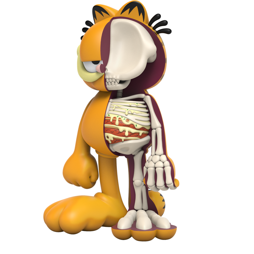 XXRAY PLUS GARFIELD