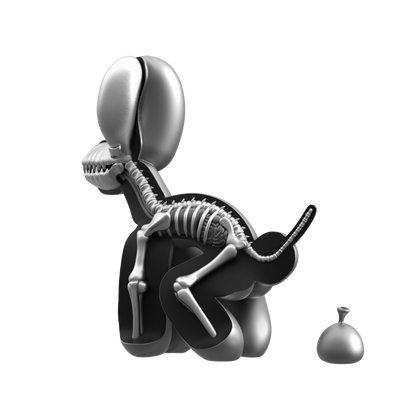 Dissected Popek by Whatshisname and Jason Freeny (Space Grey Edition)