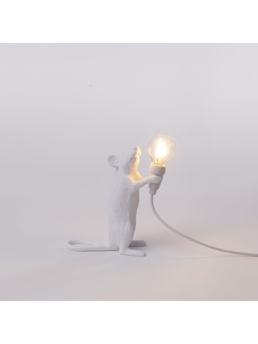 MOUSE LAMP STEP