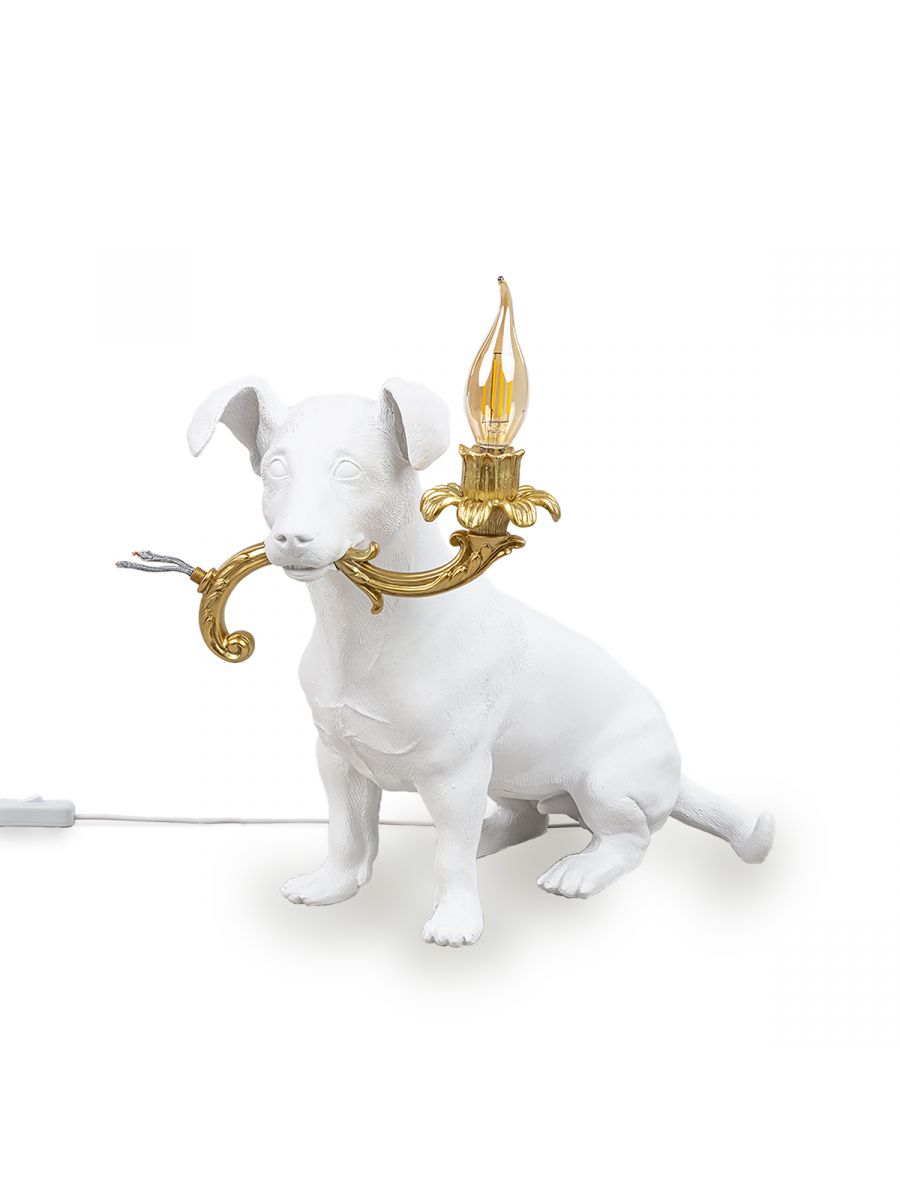Rio Lamp